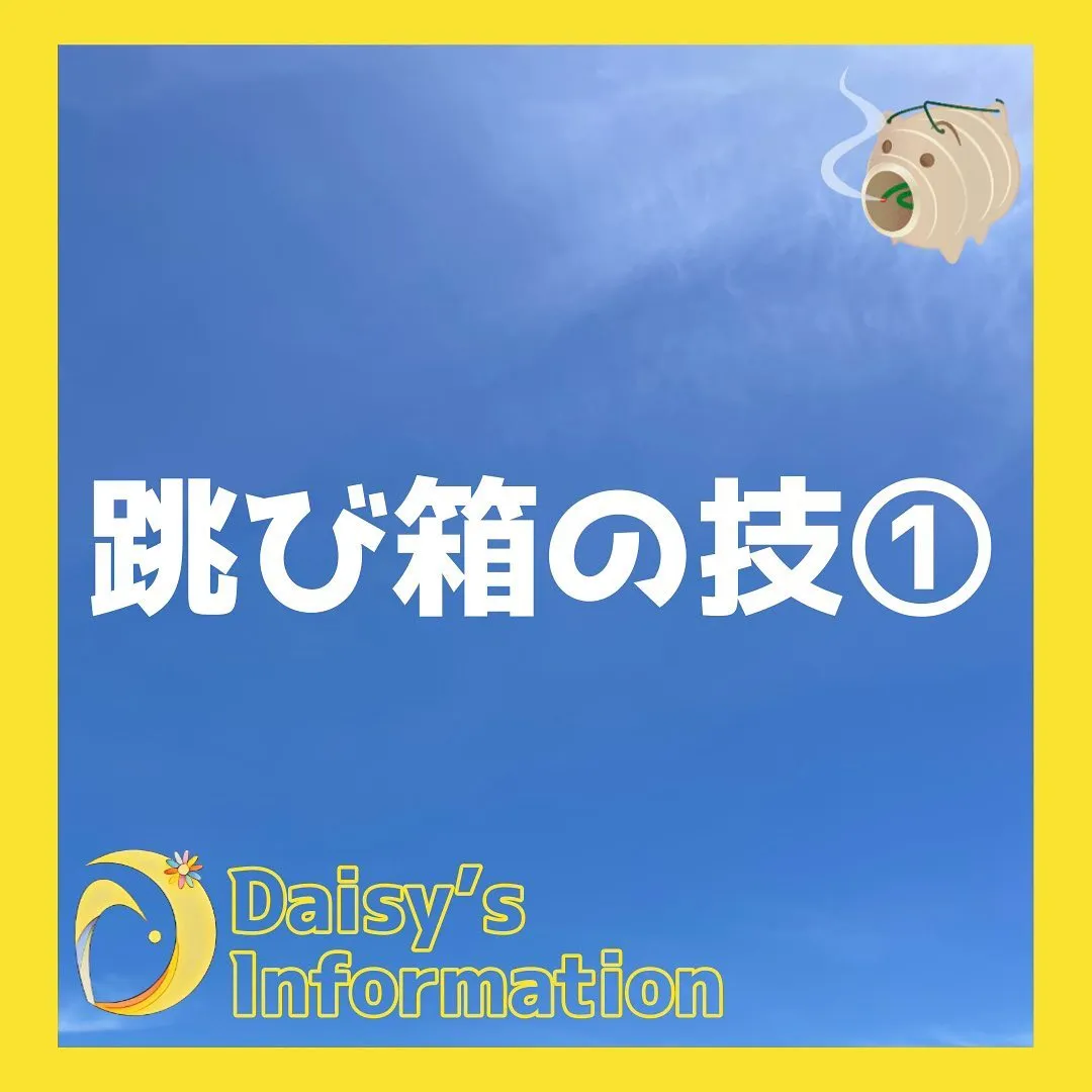 跳び箱の技　とび乗り降り