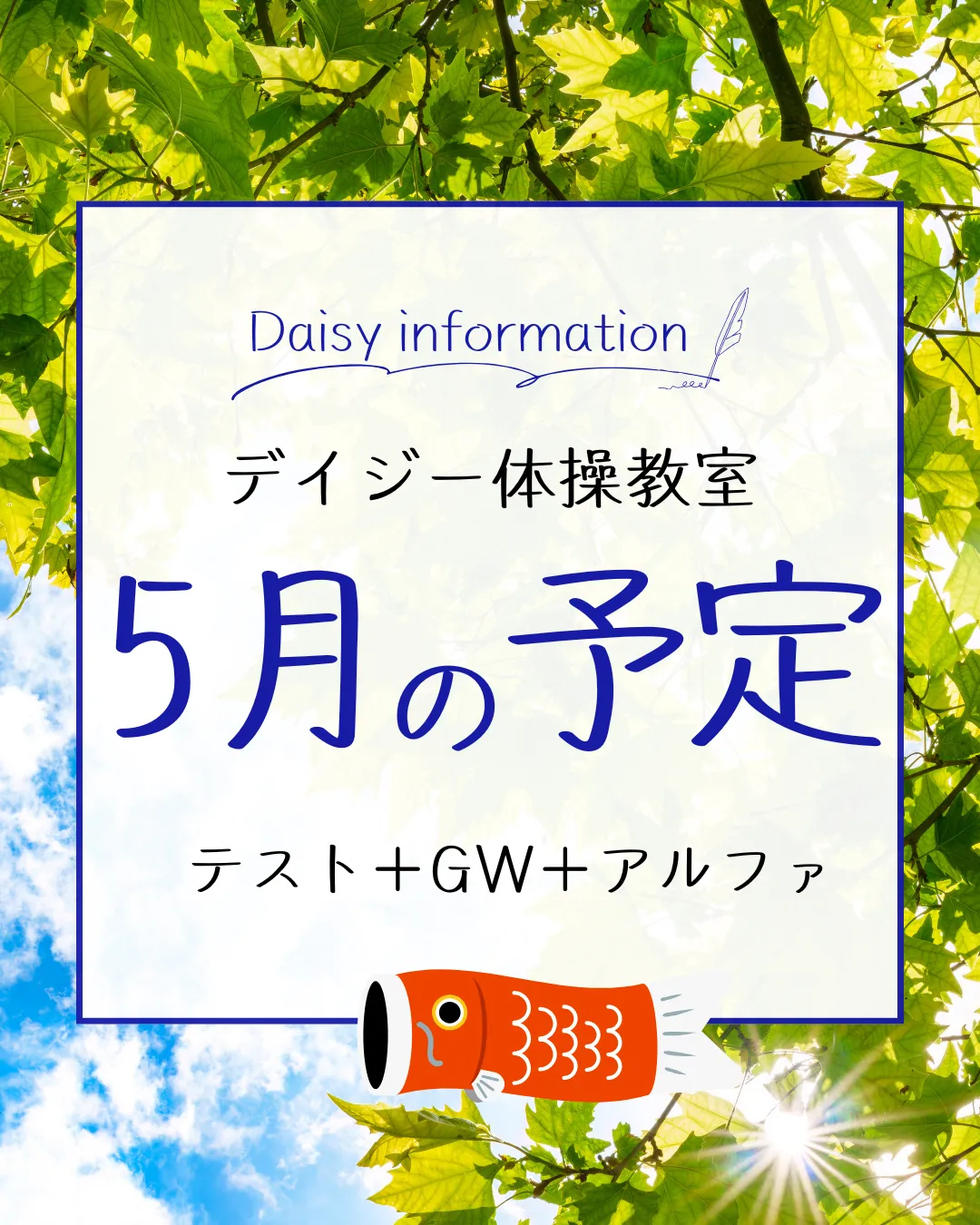 デイジー体操教室　5月の予定